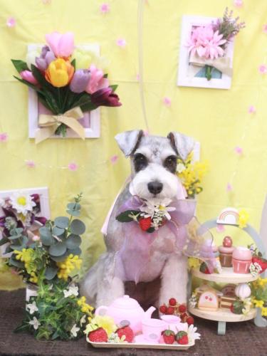 20230304ふたばちゃん